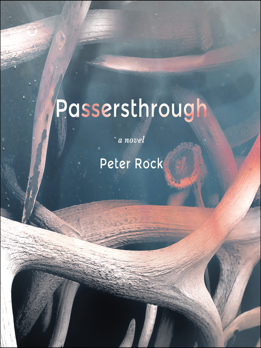 Cover image for Passersthrough